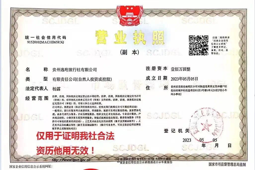 我們的團隊