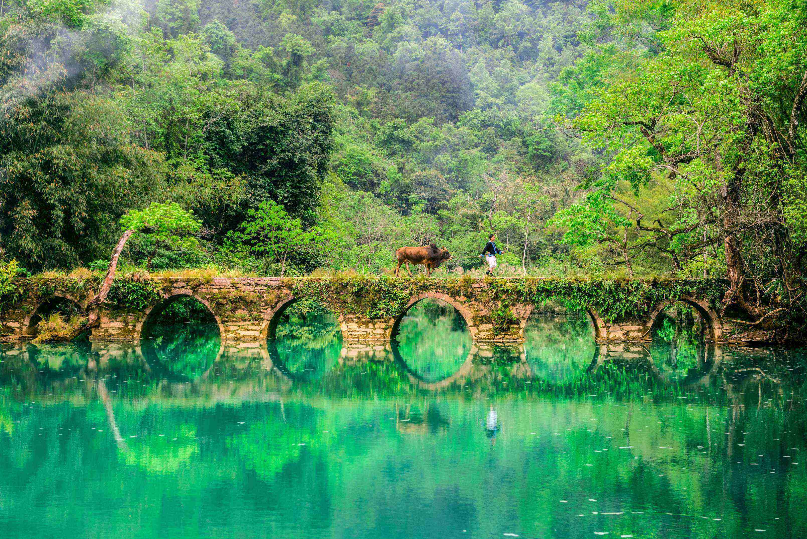貴州風景